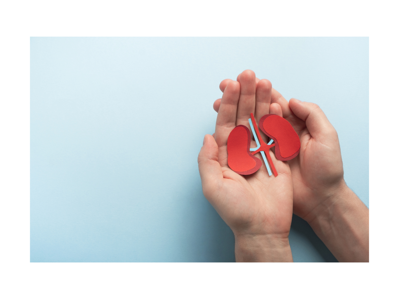 Healthcare provider conducting HD video consultation with patient using DocGenie virtual care platform, showing secure messaging and digital prescription features